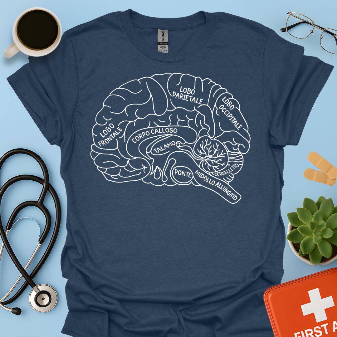 Maglietta Neuroanatomia